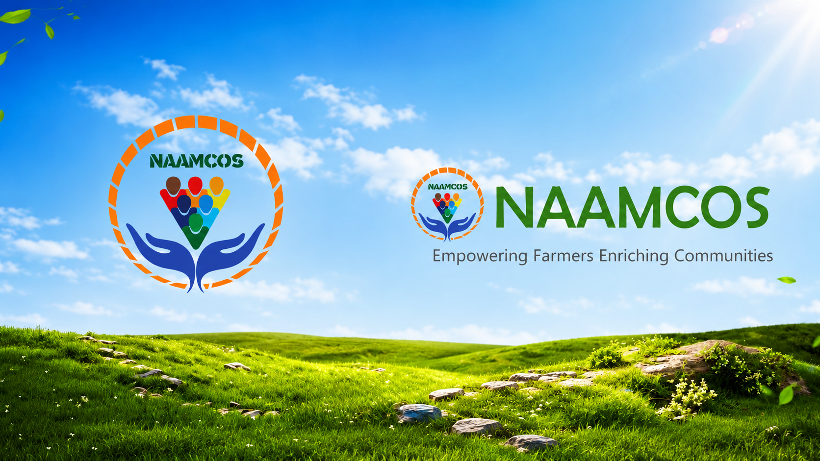 NAAMCOS Banner 1